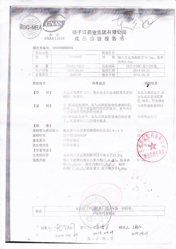 14040822银杏叶片