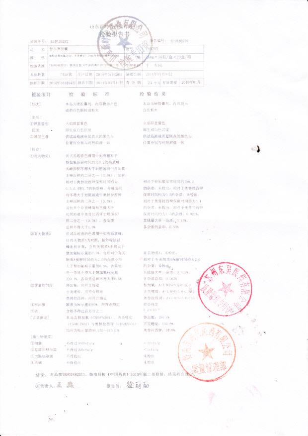 140205替吉奥胶囊