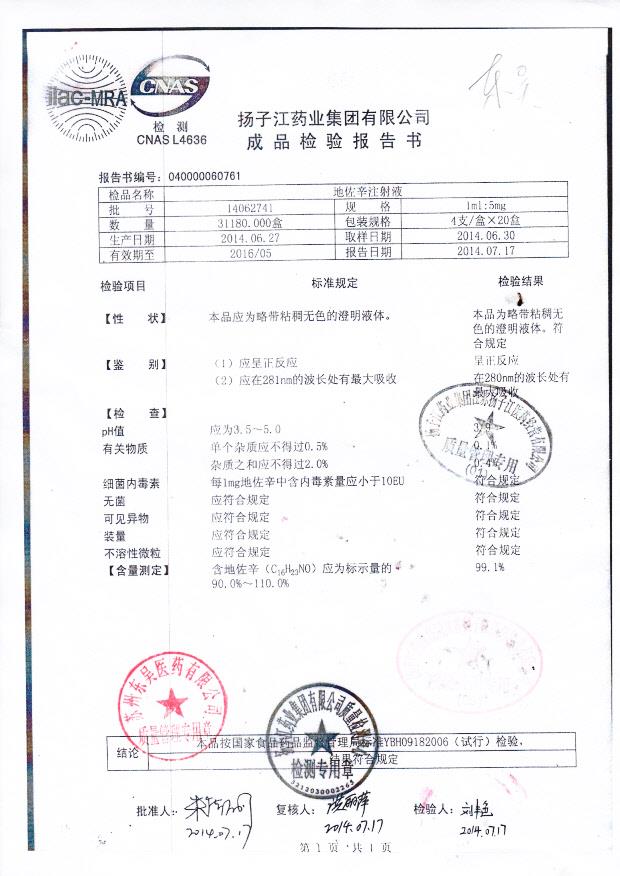 14062741地佐辛注射液