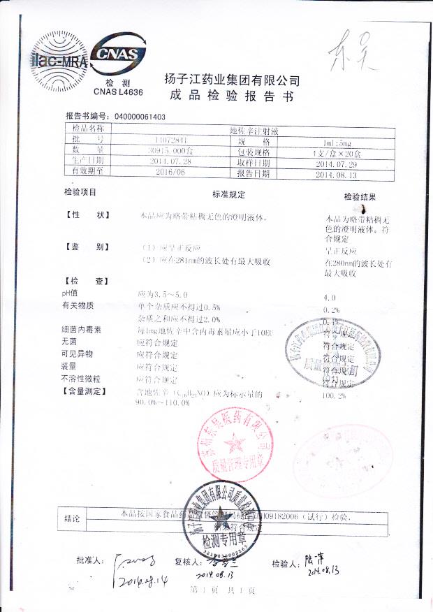 14072841地佐辛注射液