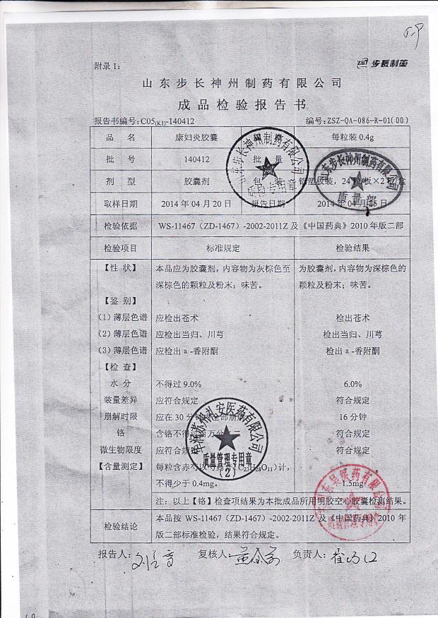 140412康妇炎胶囊