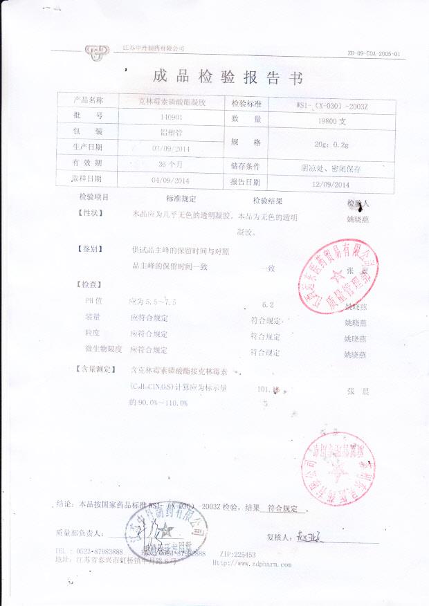 140901克林霉素磷酸酯凝胶