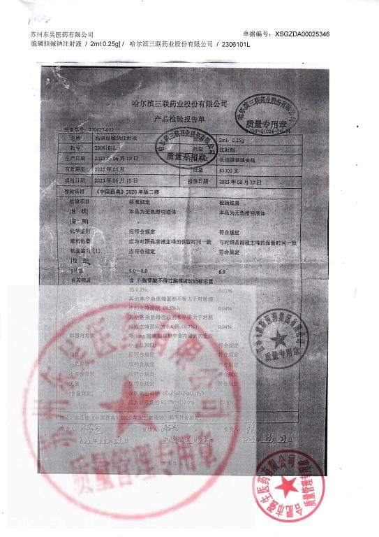 2306101L胞磷胆碱钠注射液