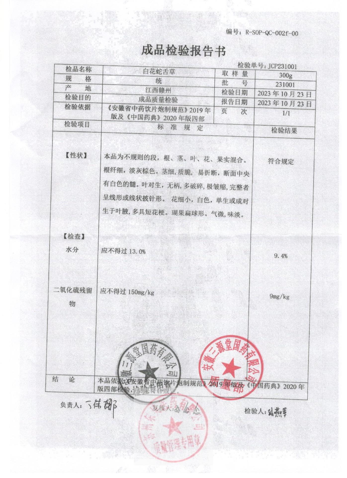 231001白花蛇舌草