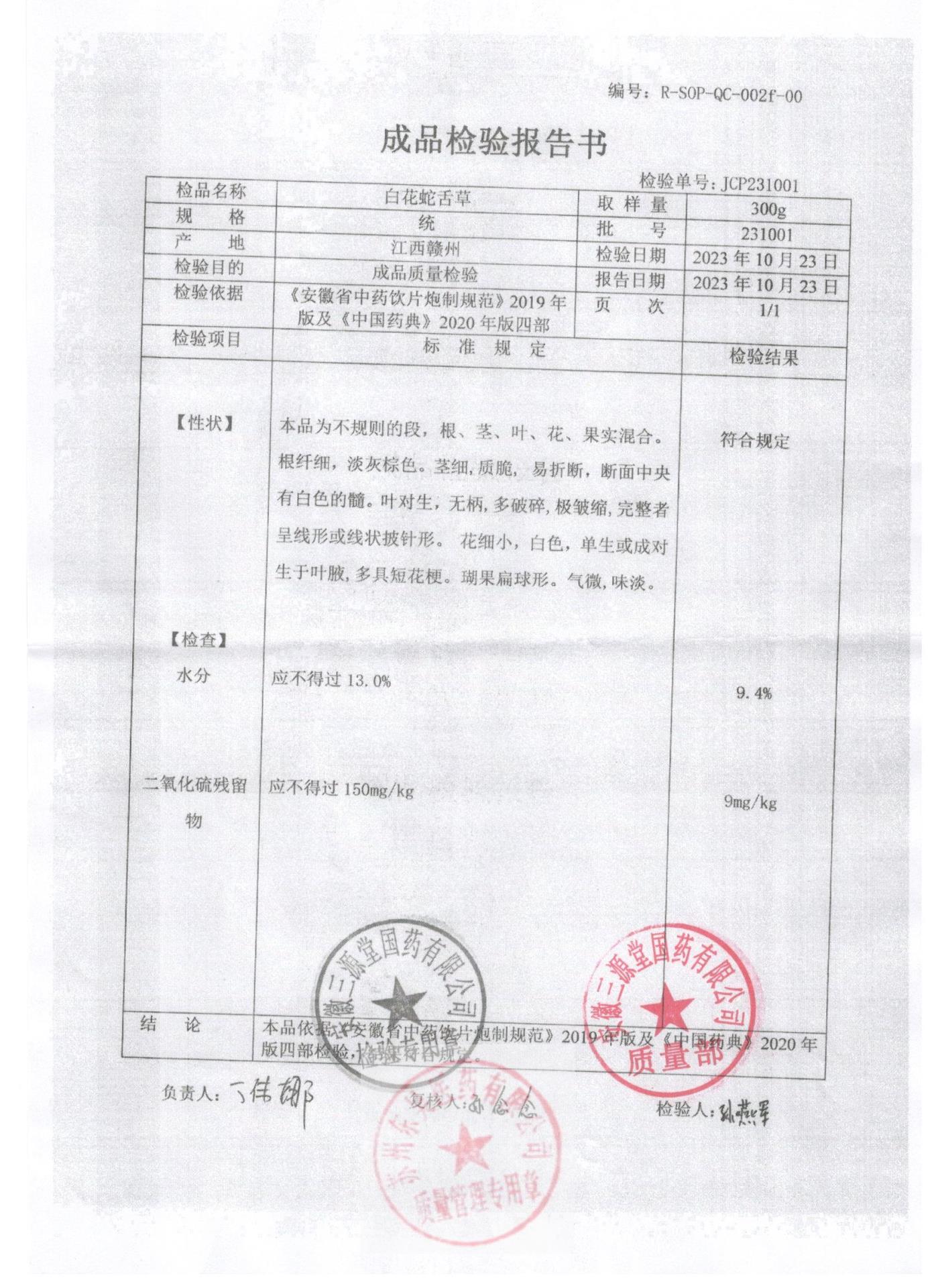 231001白花蛇舌草