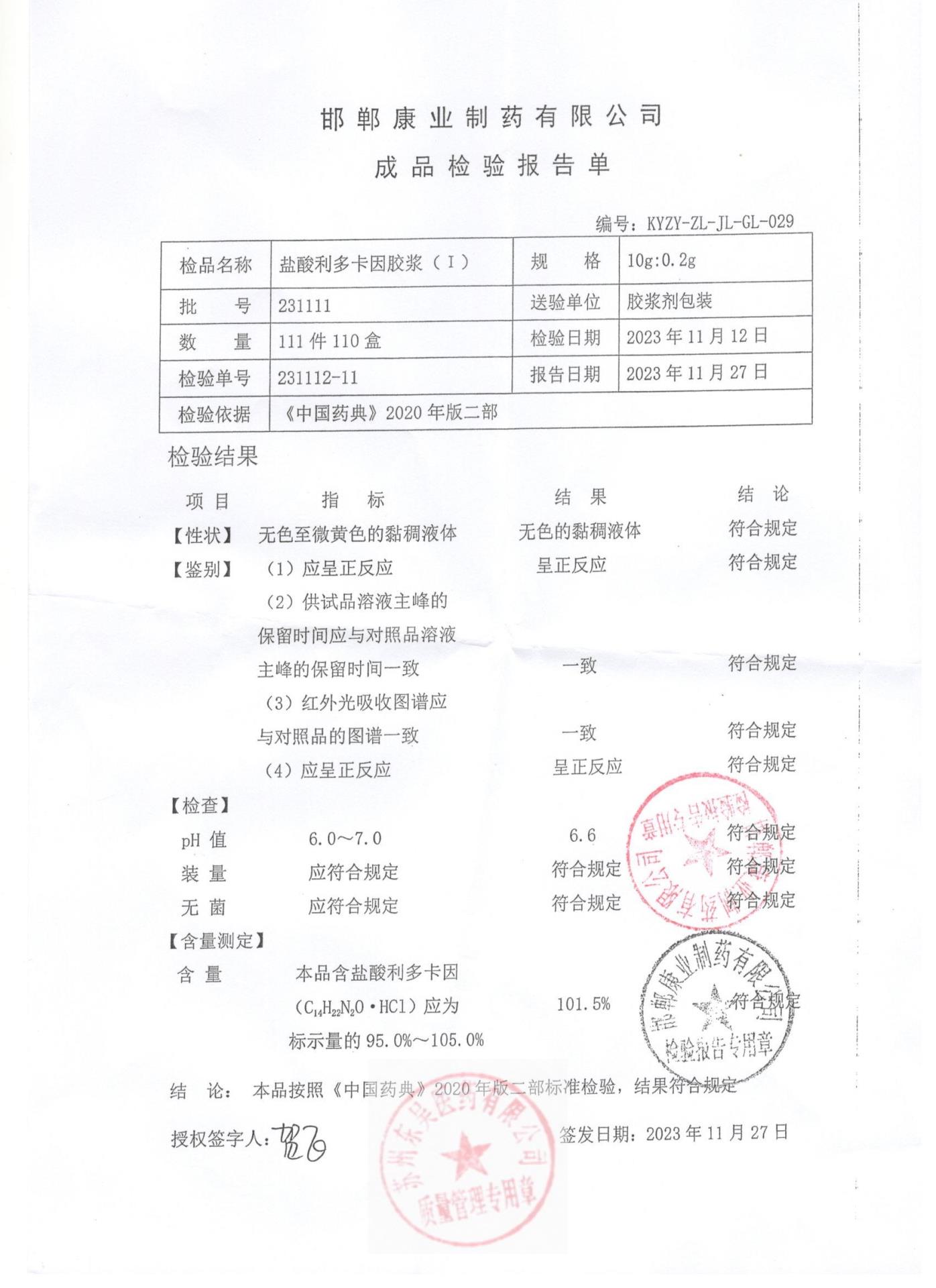 231111盐酸利多卡因胶浆