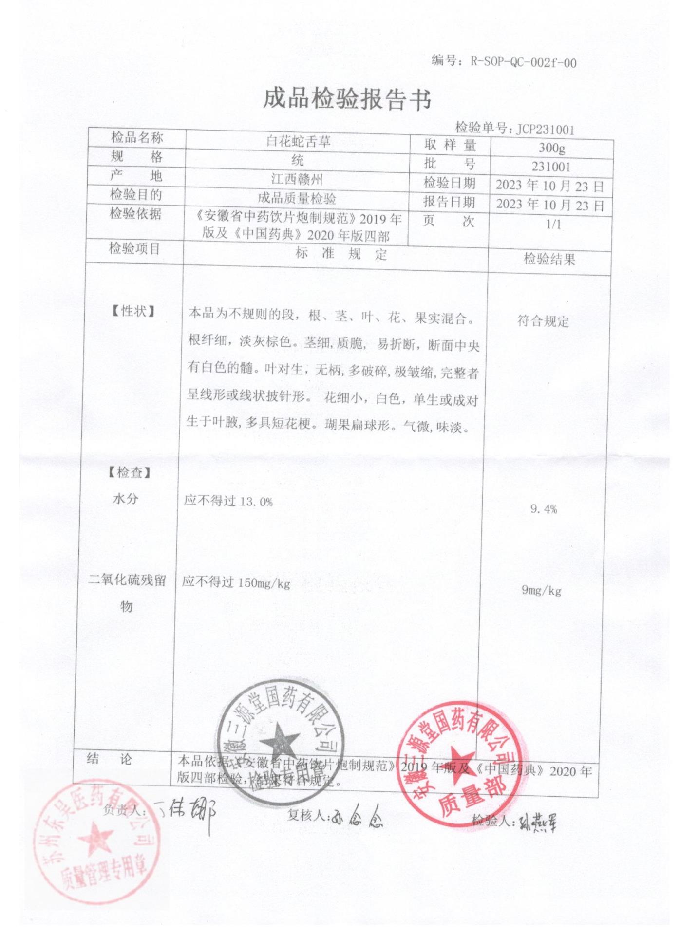 231001白花蛇舌草