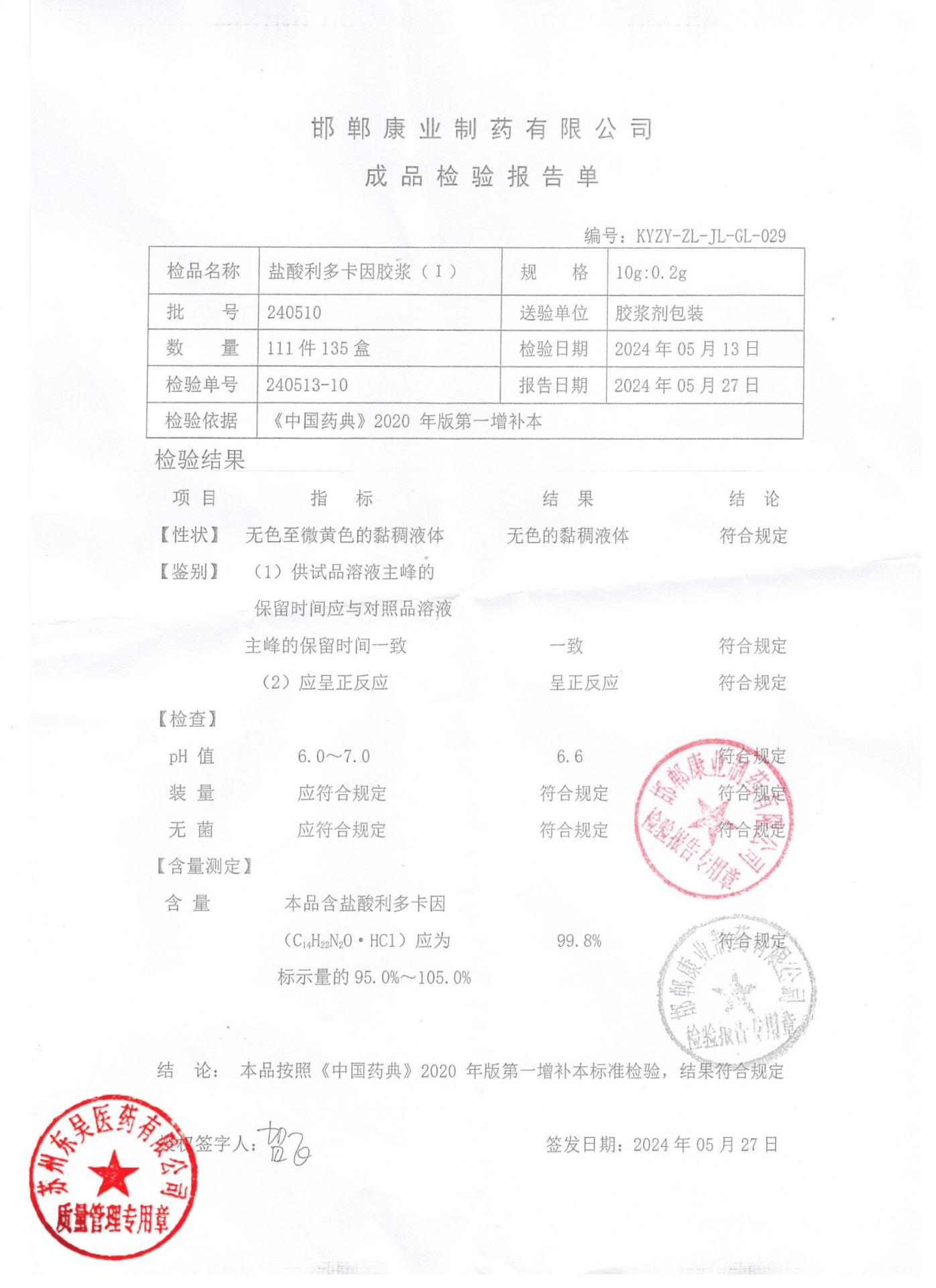 240510盐酸利多卡因胶浆