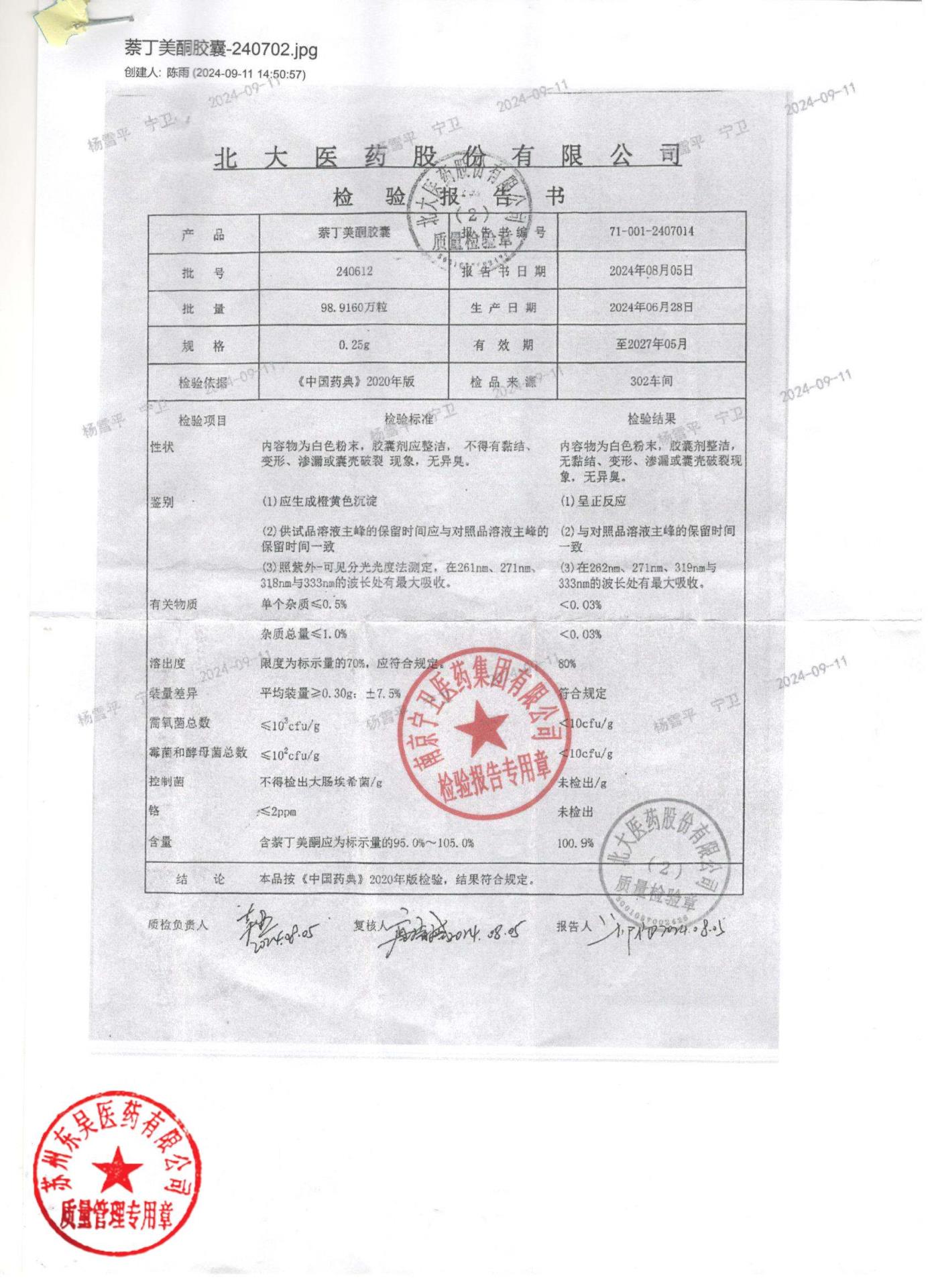 240612萘丁美酮胶囊