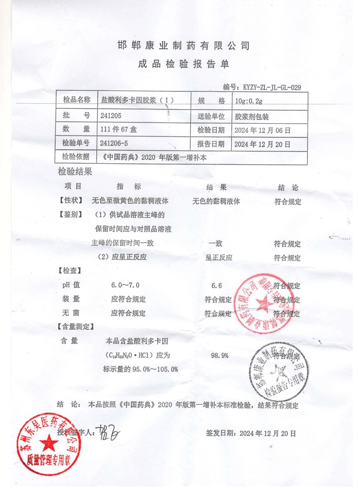 241205盐酸利多卡因胶浆