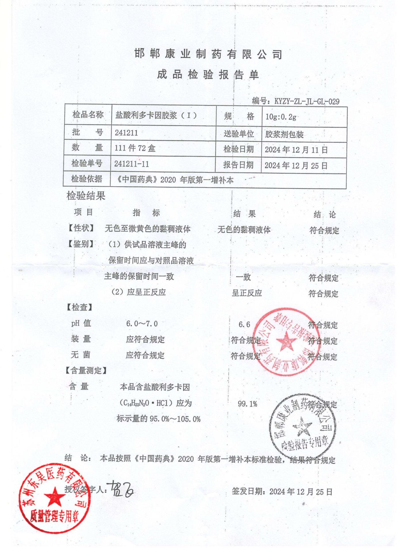 241211盐酸利多卡因胶浆