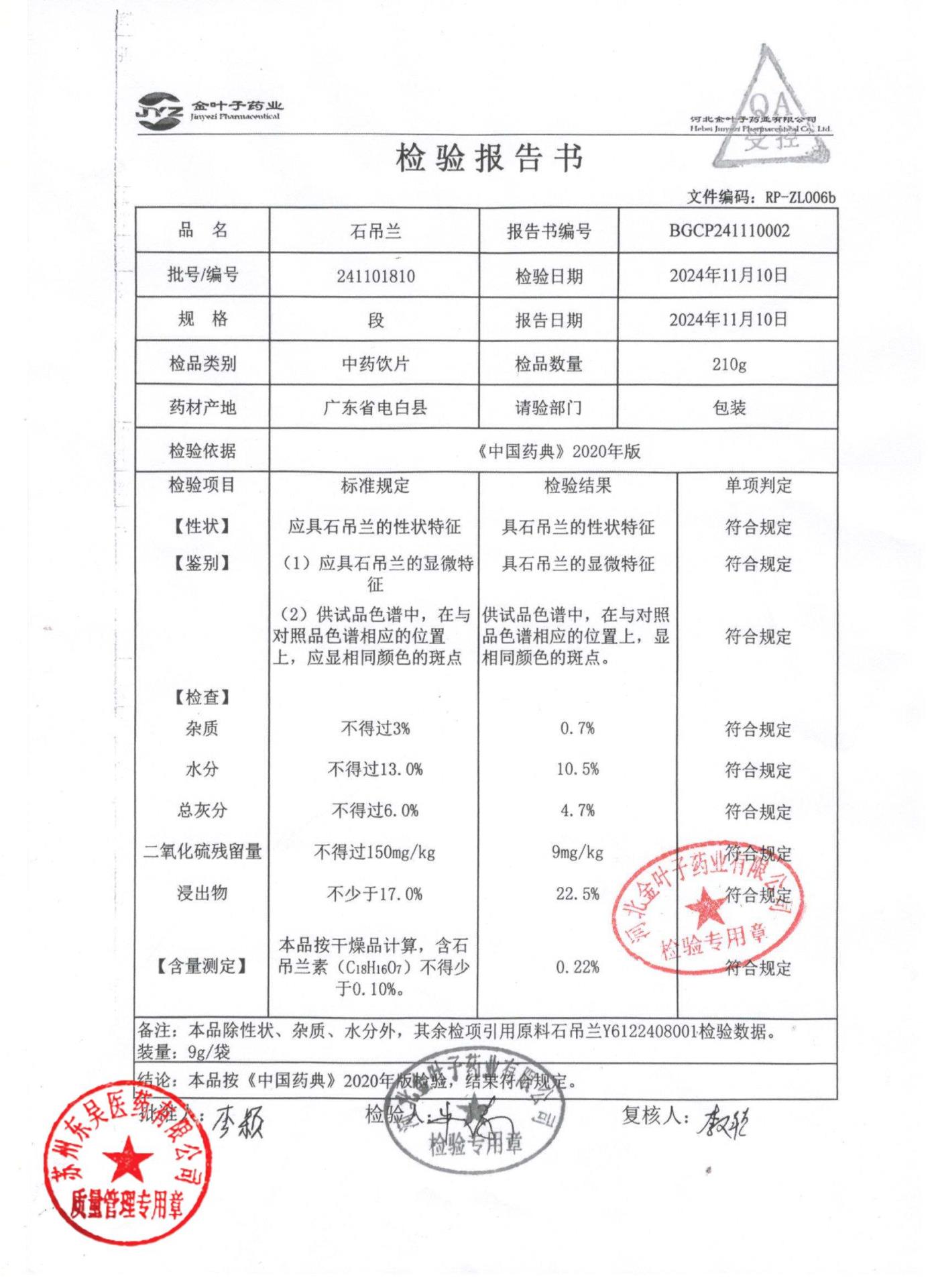 241101810石吊兰