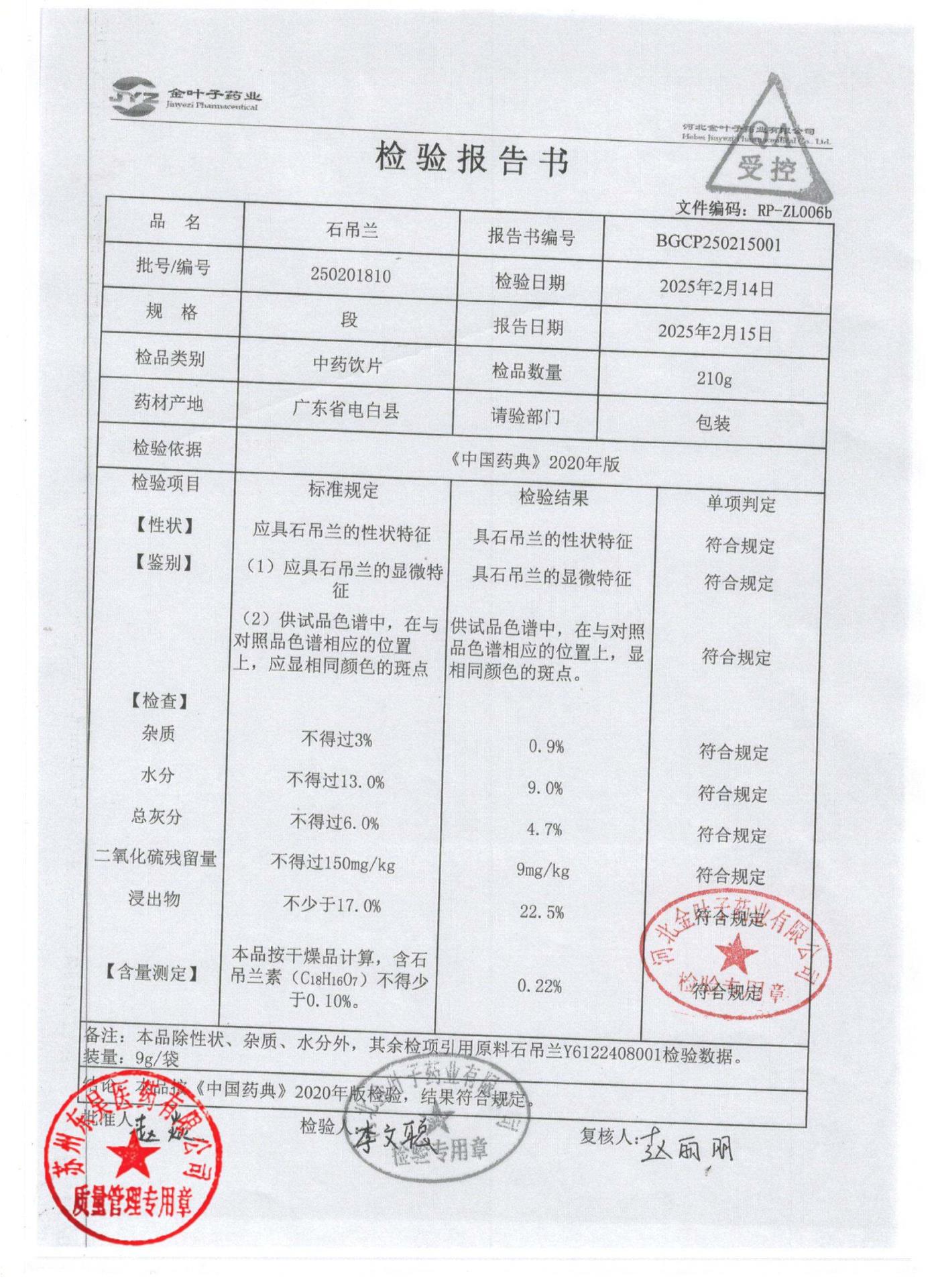 250201810石吊兰