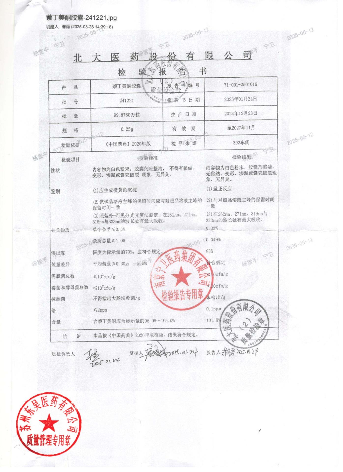 241221萘丁美酮胶囊