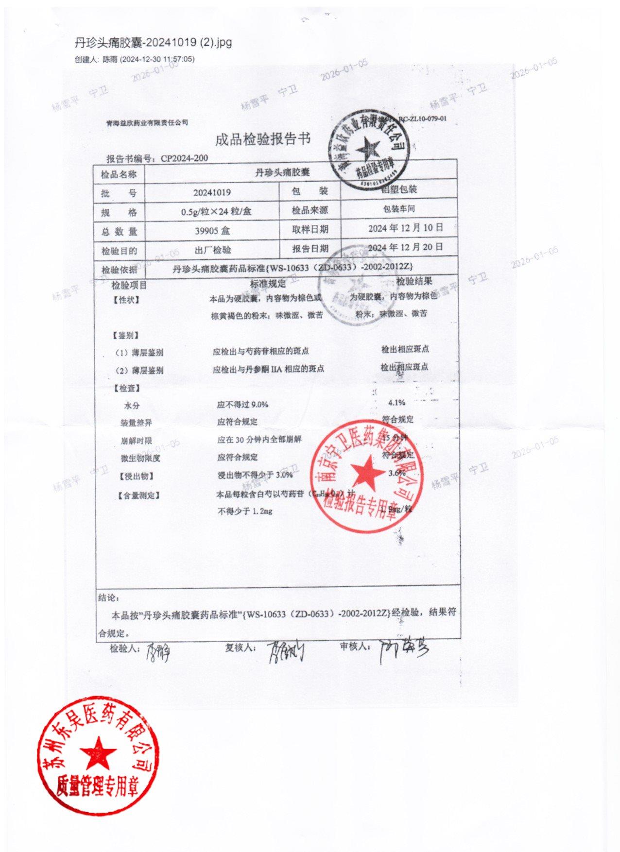 20241019丹珍头痛胶囊1