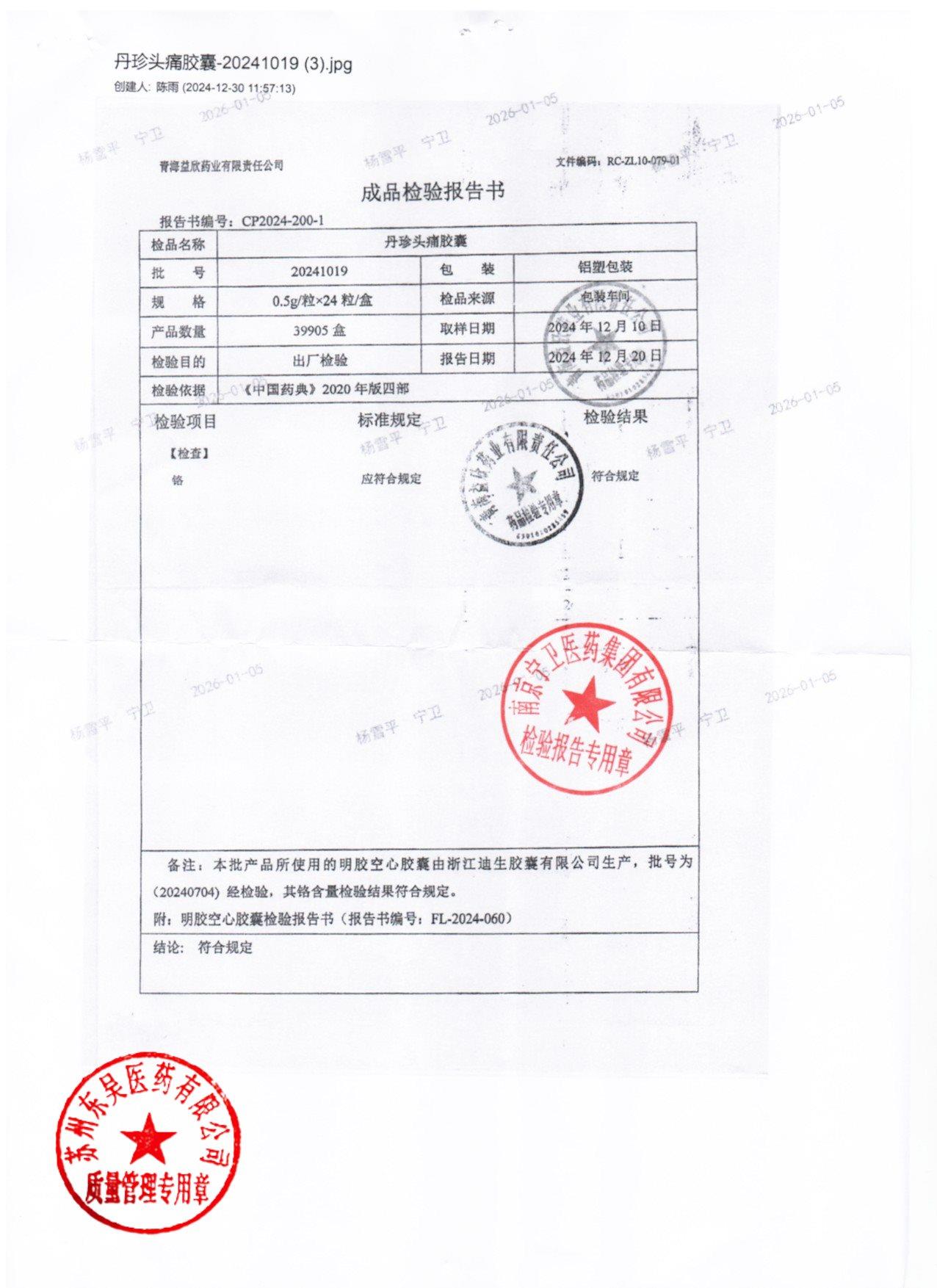 20241019丹珍头痛胶囊2