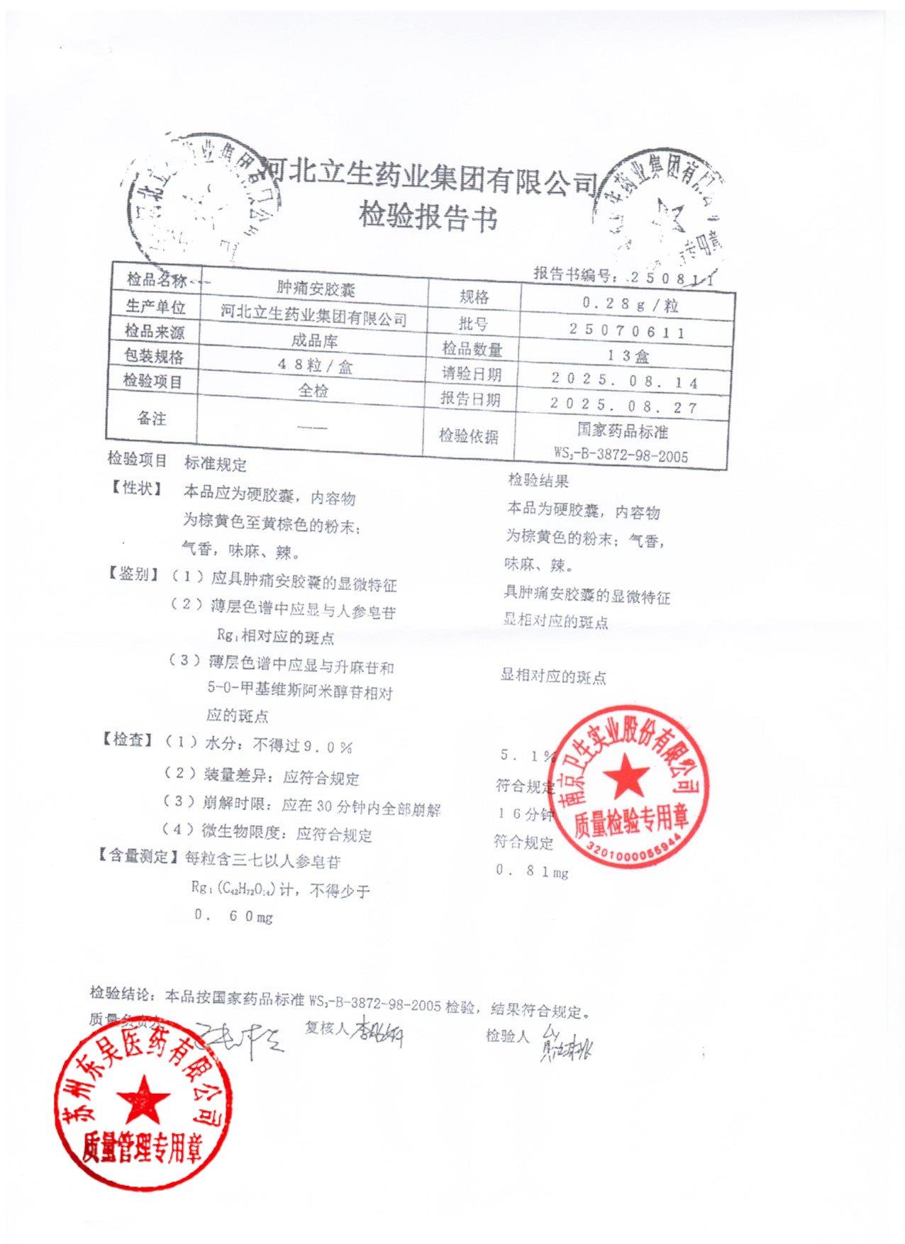 25070611肿痛安胶囊1