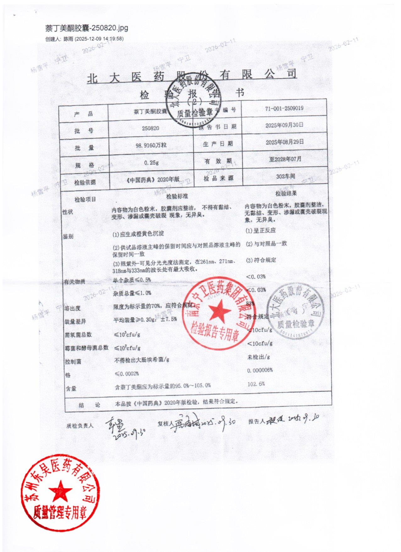 250820萘丁美酮胶囊