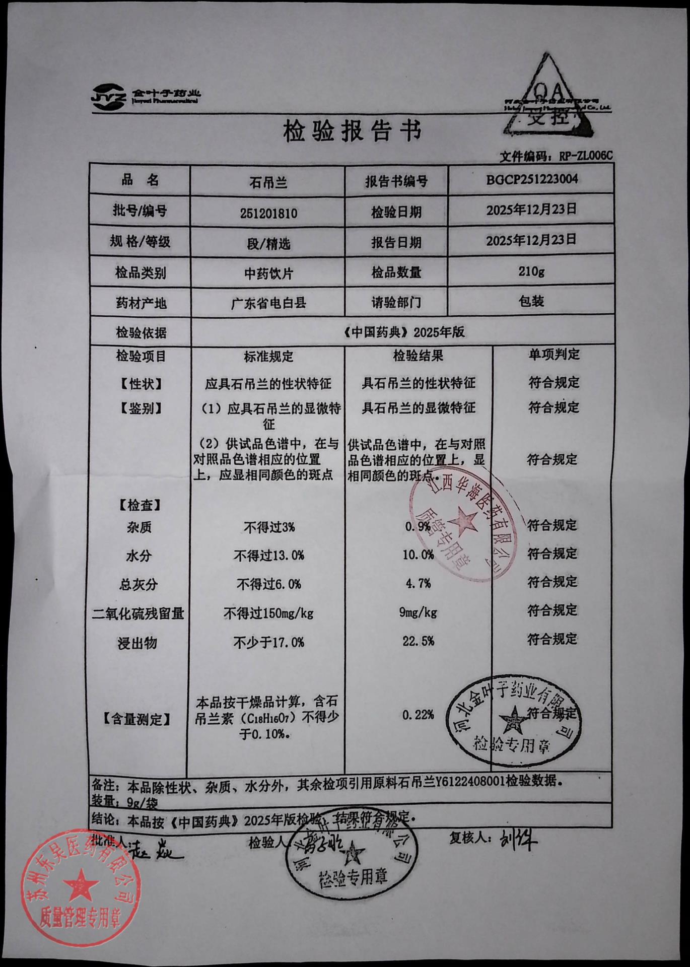 251201810石吊兰