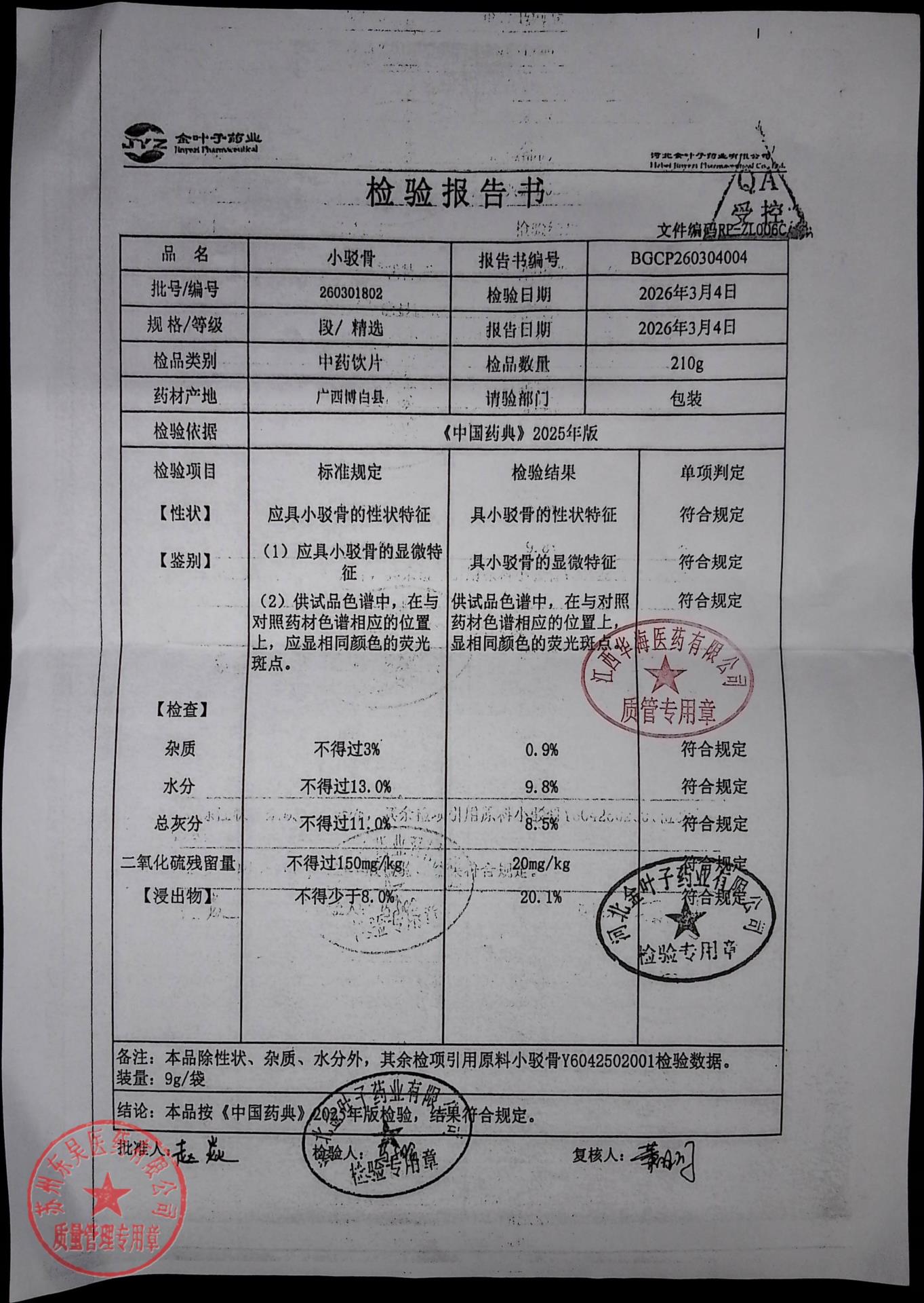 260301802小驳骨