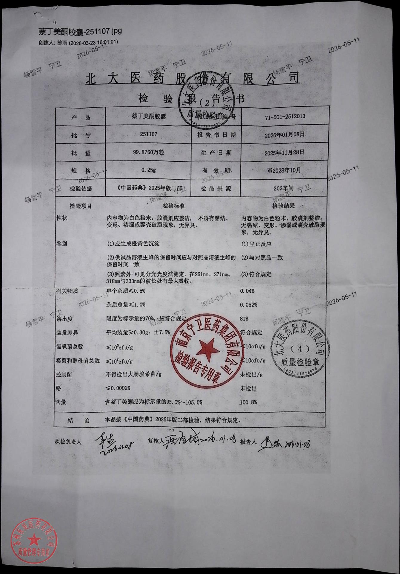 251107萘丁美酮胶囊