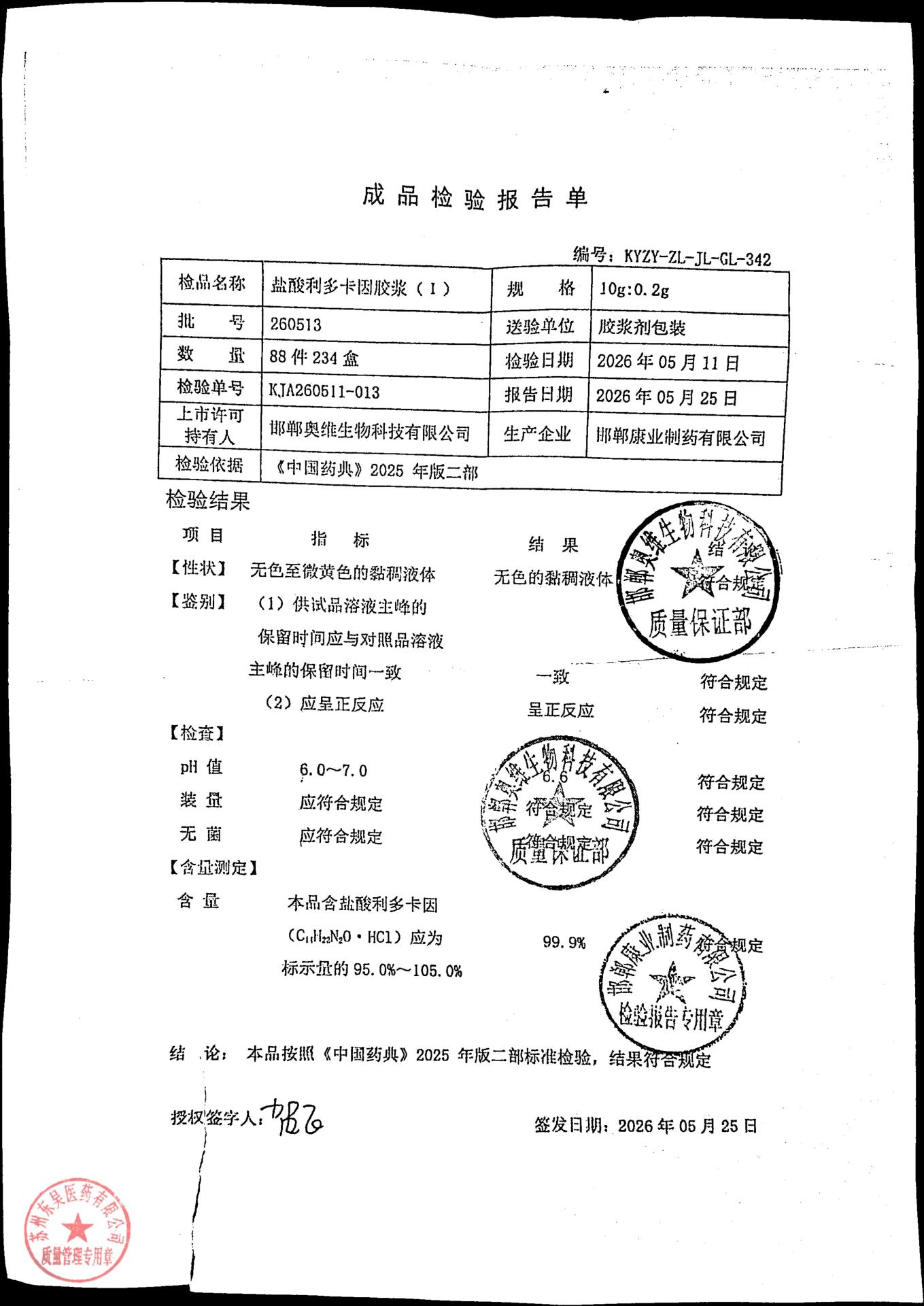 260513盐酸利多卡因胶浆（I）
