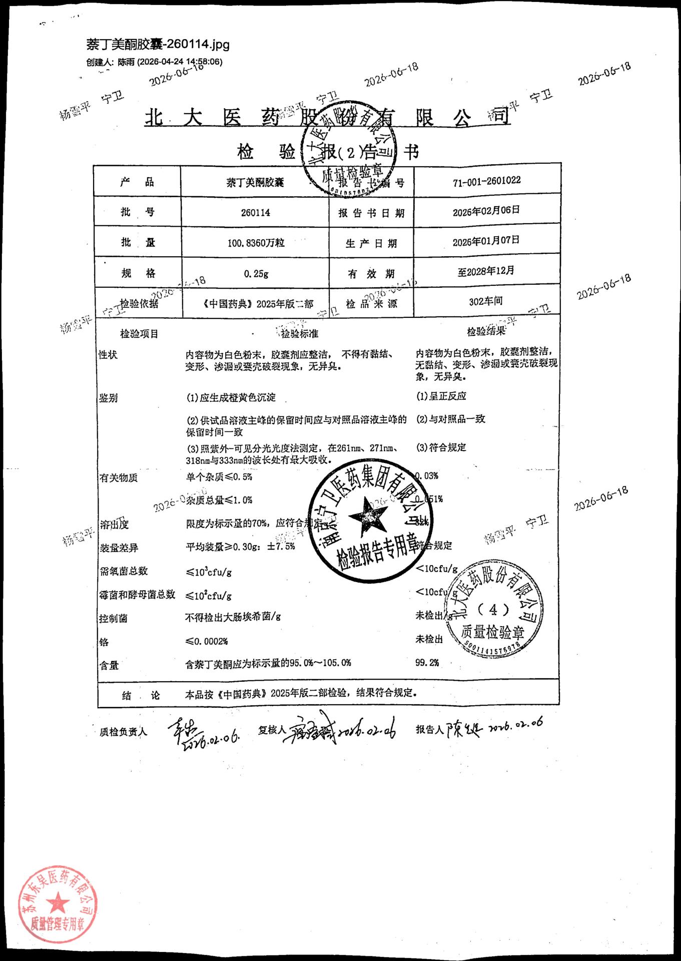 260114萘丁美酮胶囊
