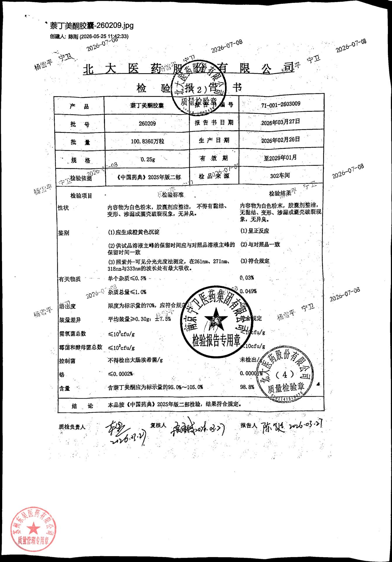 260209萘丁美酮胶囊