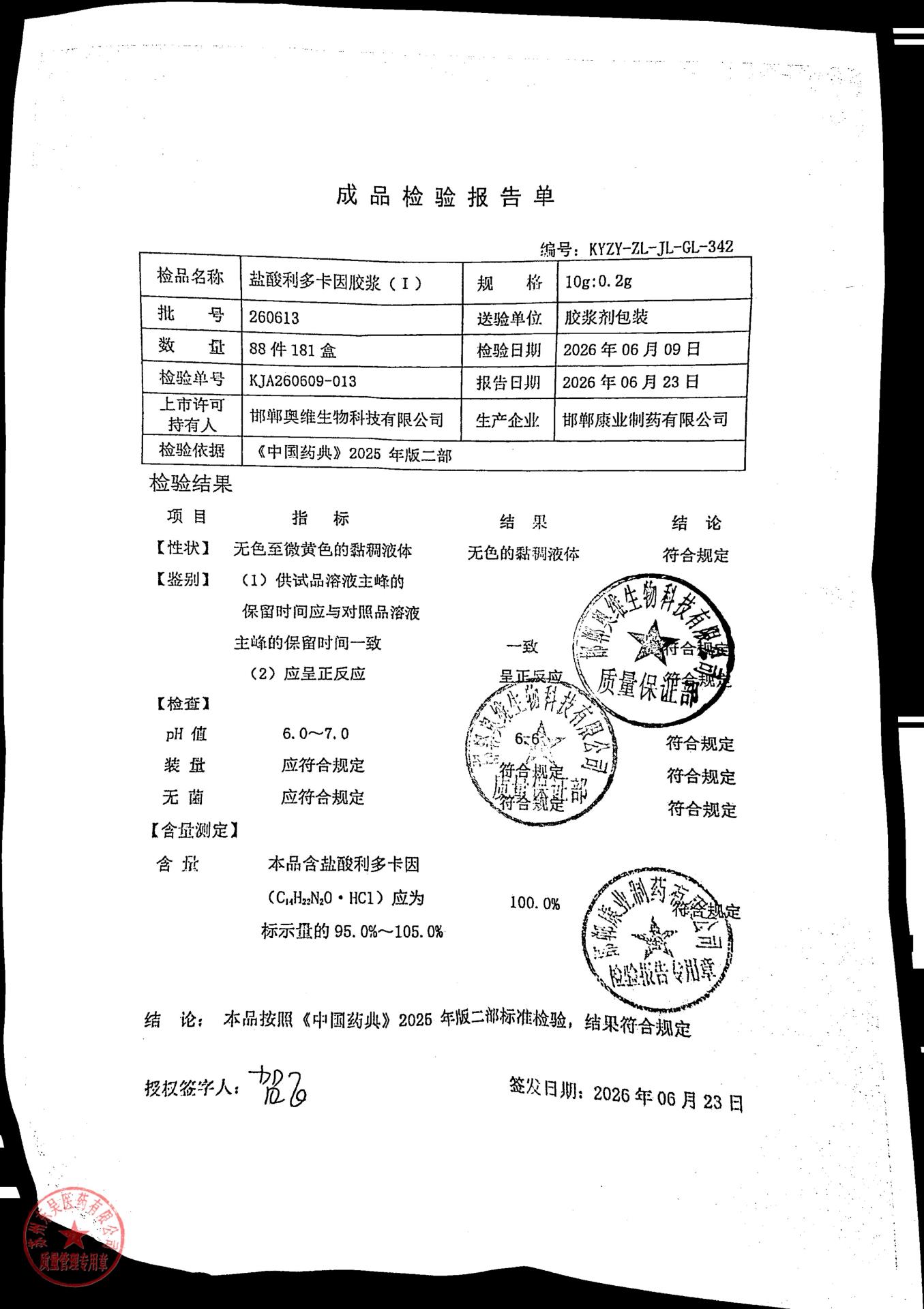 260613盐酸利多卡因胶浆（I）