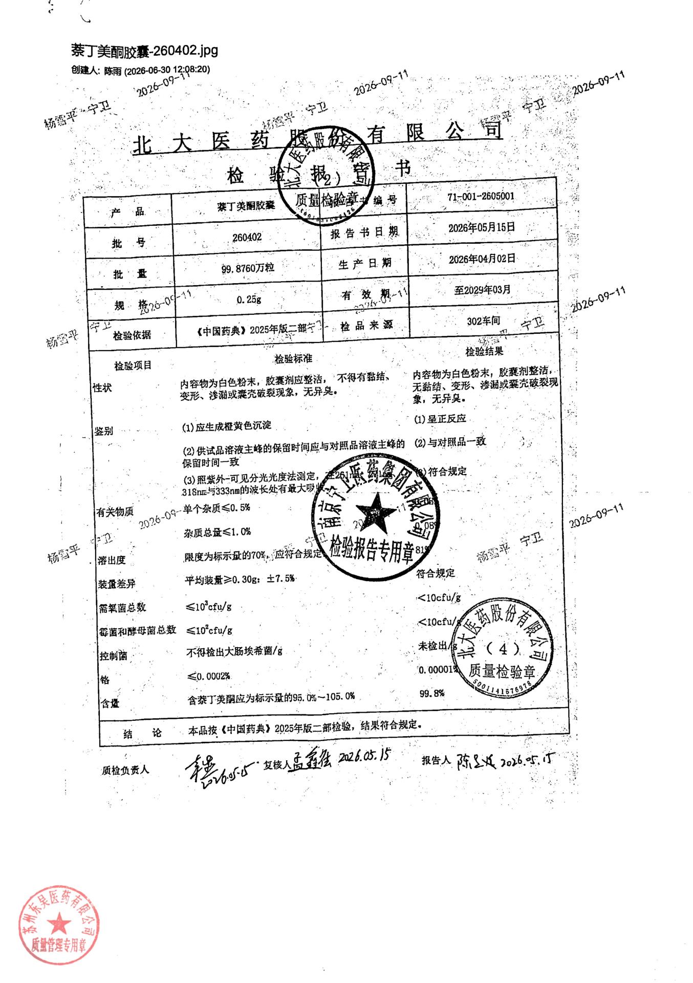 260402萘丁美酮胶囊