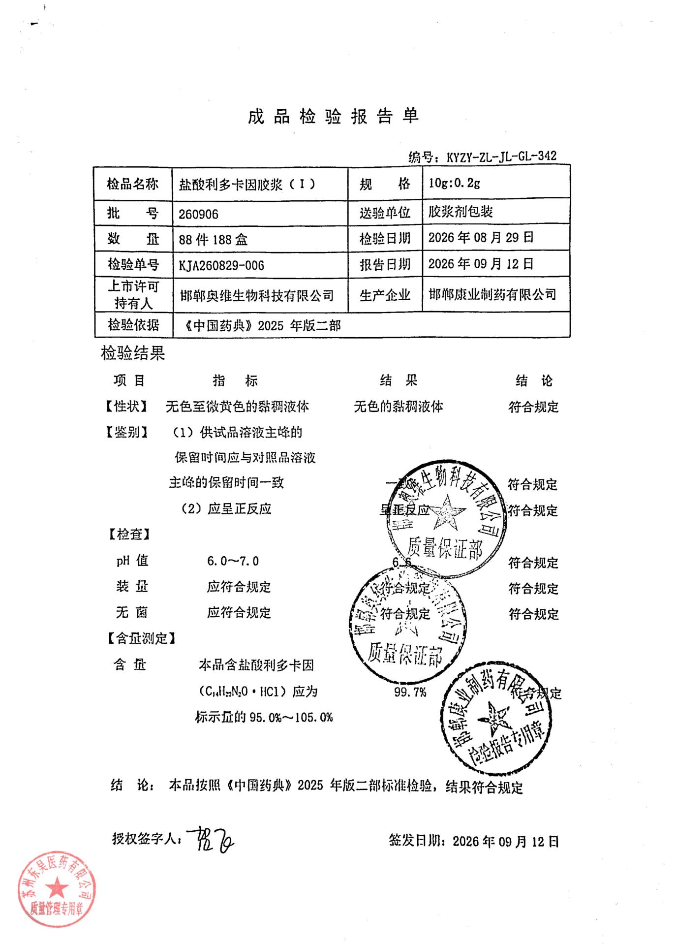 260906盐酸利多卡因胶浆（I）